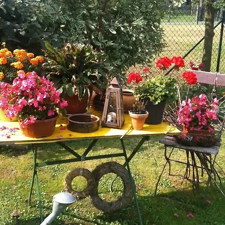 Ferienwohnung Lassmann * Hainewalde