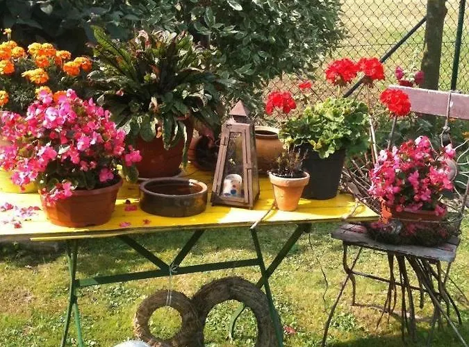 Ferienwohnung Lassmann * Hainewalde